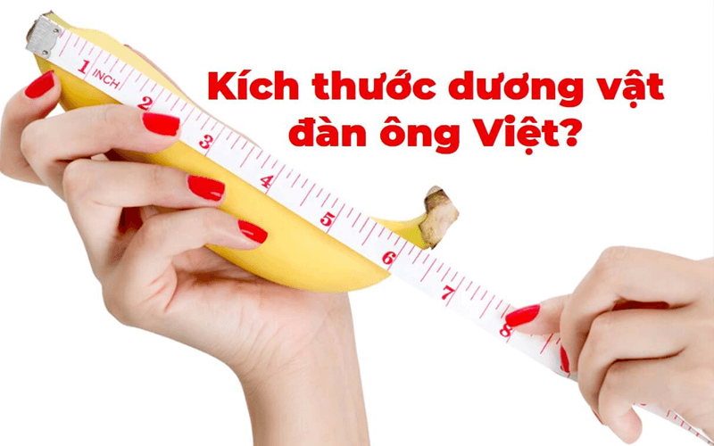 Độ dài dương vật trung bình của Việt Nam